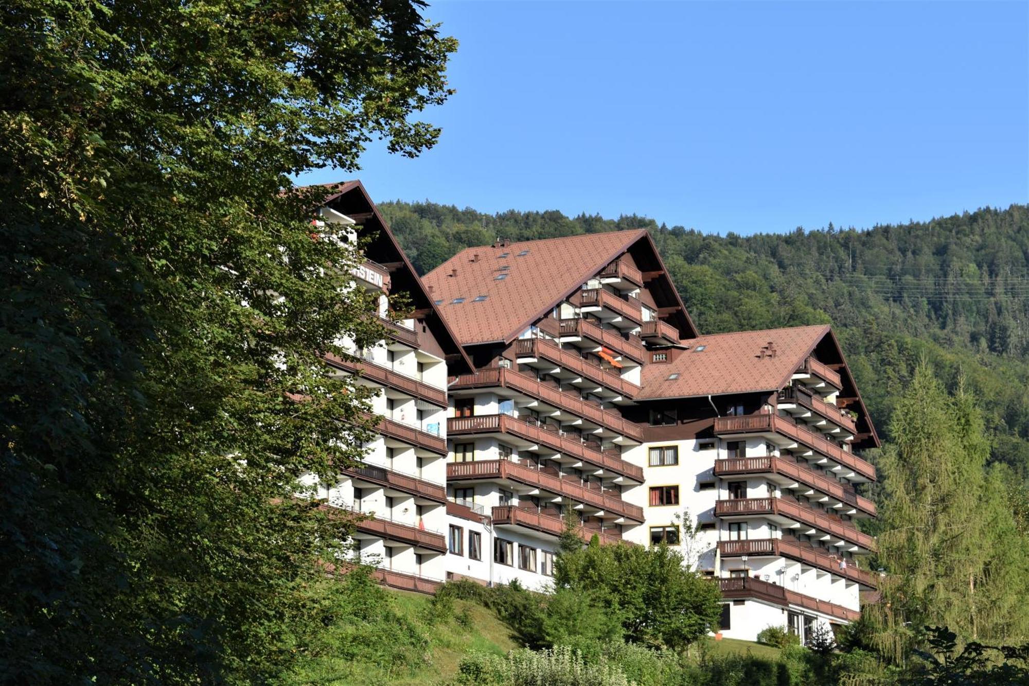 Apartment D'Auszeit Bad Goisern am Hallstättersee Exterior foto